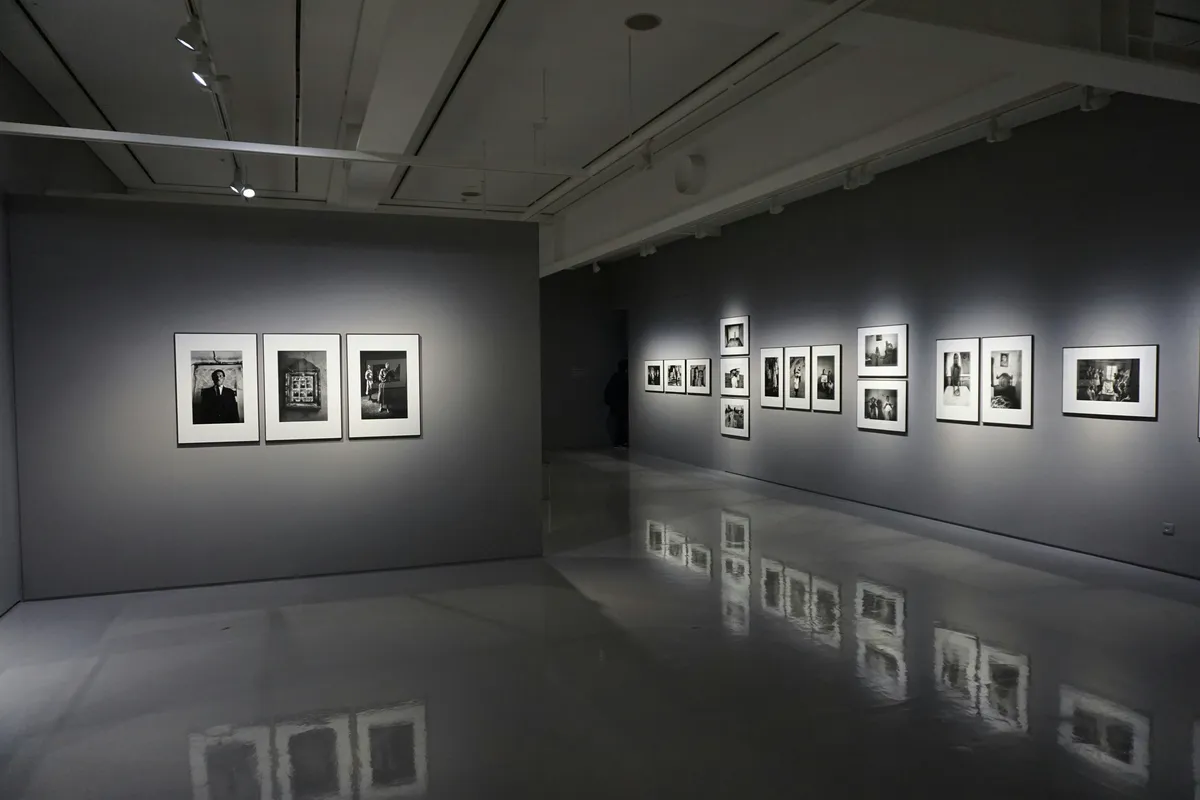 Art gallery interior with paintings displayed at eye level