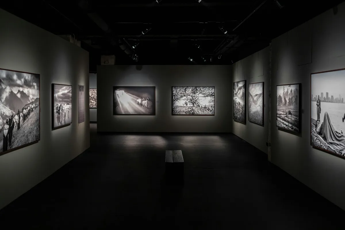 Modern gallery hallway with artwork displayed along the walls